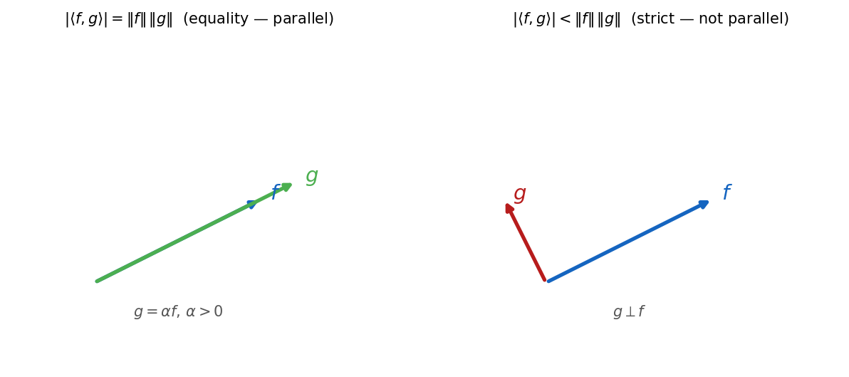 CS equality case — parallel vectors vs general