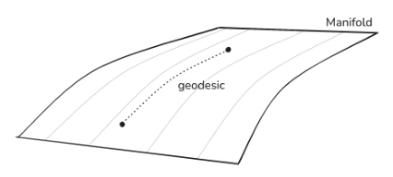 The geodesic is the shortest path between two points on a curved surface