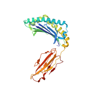 Geometric graphs can be used as mathematical abstractions of biomolecules