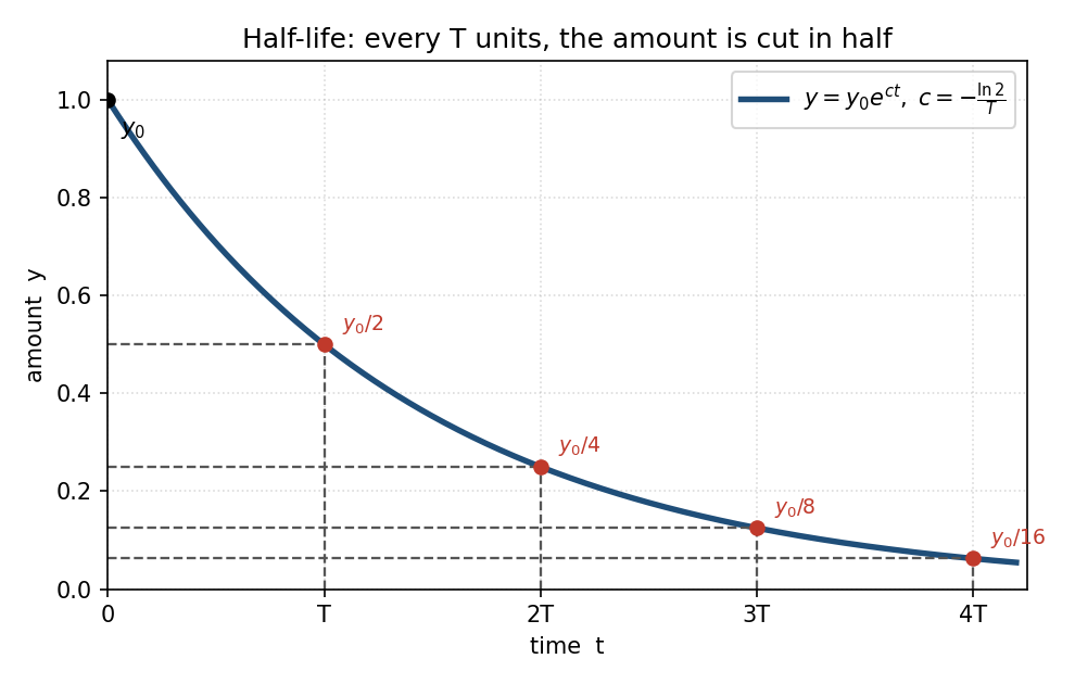 Radioactive decay where every half-life the amount is cut in half