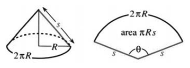 Exercise figure for a surface of revolution such as a torus or lamp shade