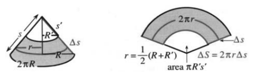 Exercise figure of a lamp, light bulb, or watermelon as a surface of revolution