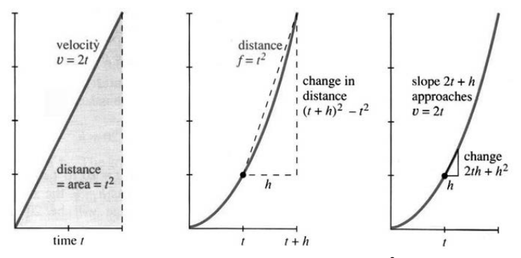 v=2t is a straight line, f=t^2 is a parabola