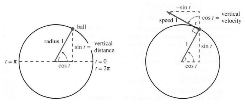 Circular motion with speed 1, angle t, height sin t, upward velocity cos t