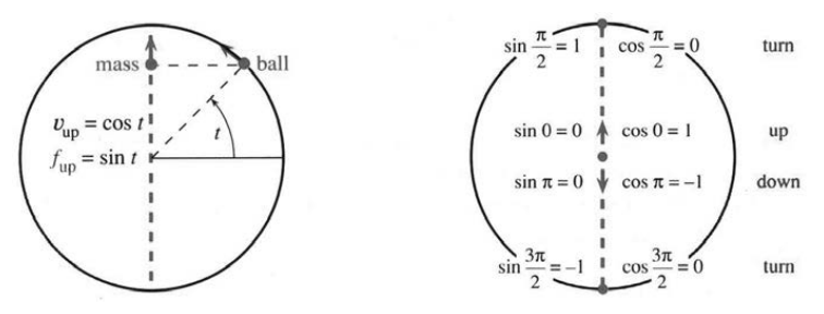 Circular motion of the ball and harmonic motion of the mass (its shadow)