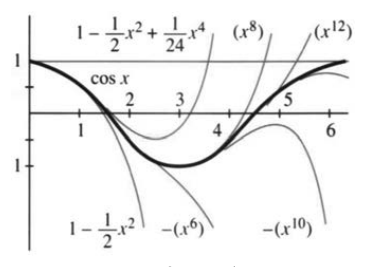 The partial sums 1, 1 minus x squared over 2, 1 minus x squared over 2 plus x fourth over 24 of the cosine series