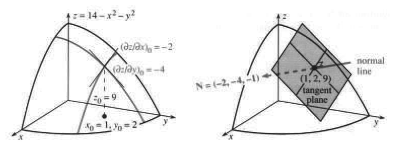 The tangent plane contains the x and y tangent lines and is perpendicular to N