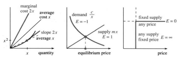 Marginal cost exceeds average cost, with constant elasticity curves