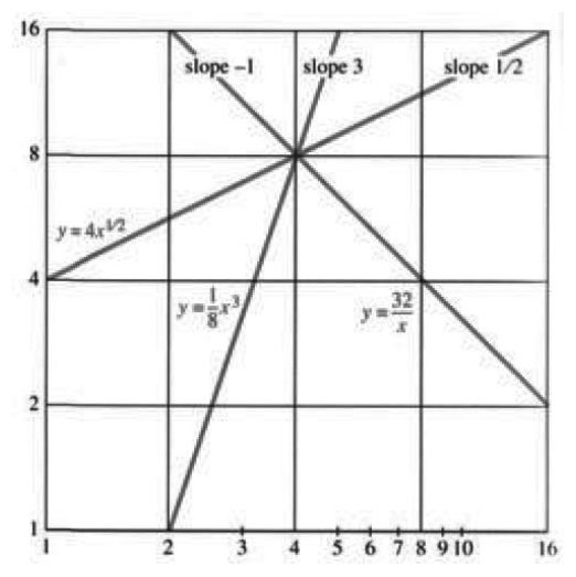Several power law lines of different slopes k on log-log paper