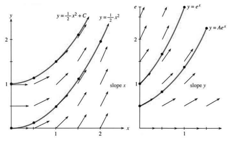 Slope fields for y prime equals x giving parabolas and y prime equals y giving exponentials